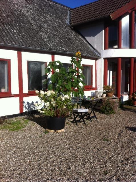 Bed and breakfast Praestogaard Extérieur photo